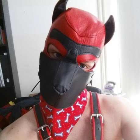 Pup Finn